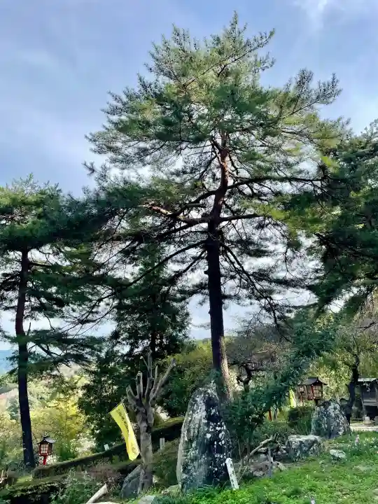 不動寺(埼玉県)