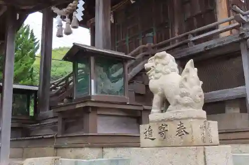 入江神社の狛犬