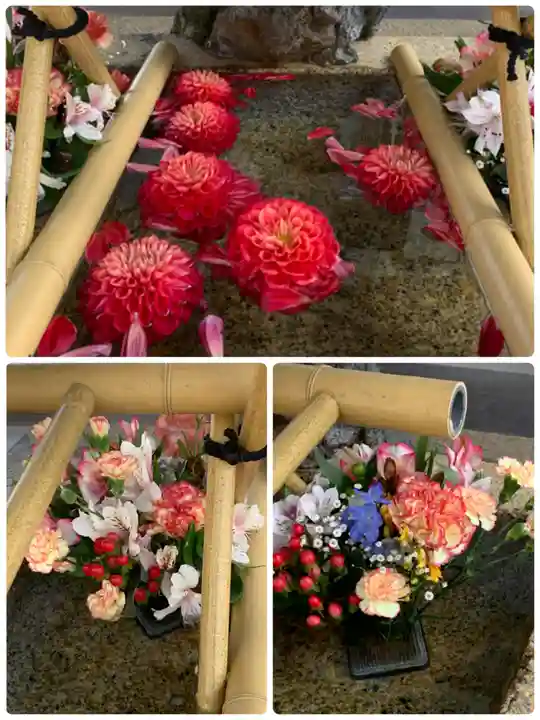 舞子六神社/まいこむの宮の手水舎