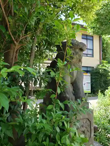 鷺宮八幡神社の狛犬