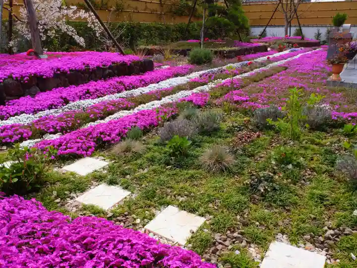 寿量山 速成寺(奈良県)
