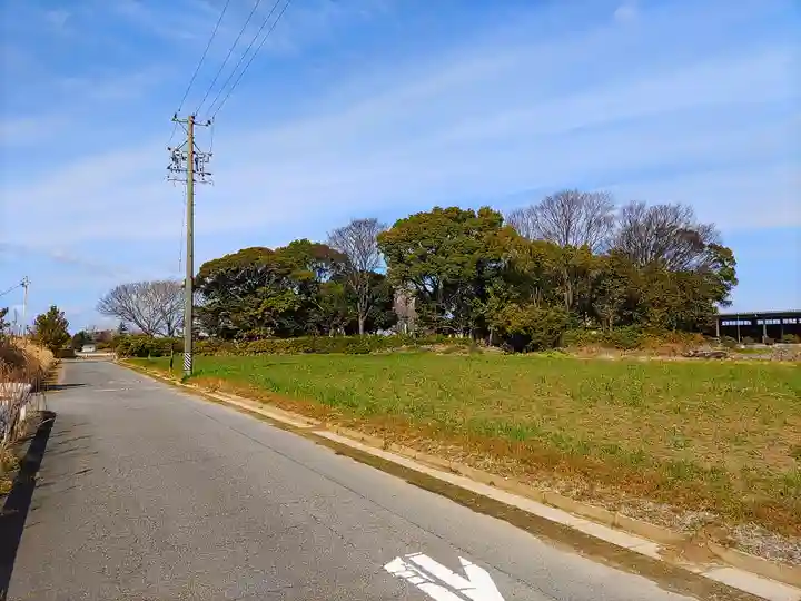 神明社(上細池神明社)の自然