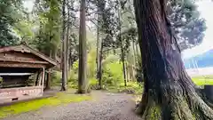 日枝神社(福井県)