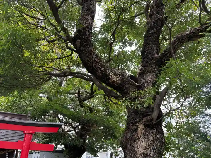 八幡橋八幡神社の{uncategorized: "未分類", other: "その他", undefined: "問題あり", building: "その他建物", grave: "お墓", sacred_gate: "鳥居", guardian: "狛犬", statue: "像", buddha: "仏像", history: "歴史", nature: "自然", garden: "庭園", animal: "動物", pagoda: "塔", temizu: "手水舎", mountain_gate: "山門・神門", sanctuary: "本殿・本堂", subordinate: "末社・摂社", art: "芸術", scenery: "景色", jizo: "地蔵", ema: "絵馬", goshuin: "御朱印", omikuji: "おみくじ", items: "授与品その他", amulet: "お守り", goshuincho: "御朱印帳", eats: "食事", festival: "お祭り", votive_dance: "神楽", shichigosan: "七五三参", wedding: "結婚式", experience: "体験その他", initially: "初詣", around: "周辺", anti_infection: "感染症対策"}
