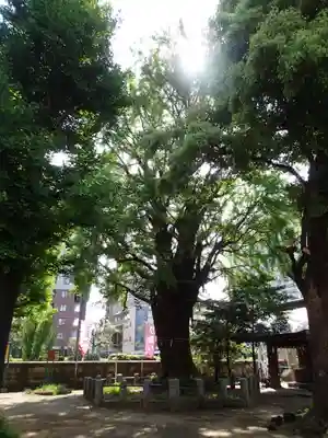 磐井神社のその他建物