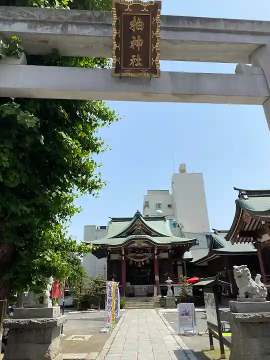 柏神社の本殿・本堂