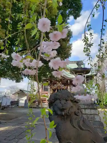 諏訪神社の狛犬