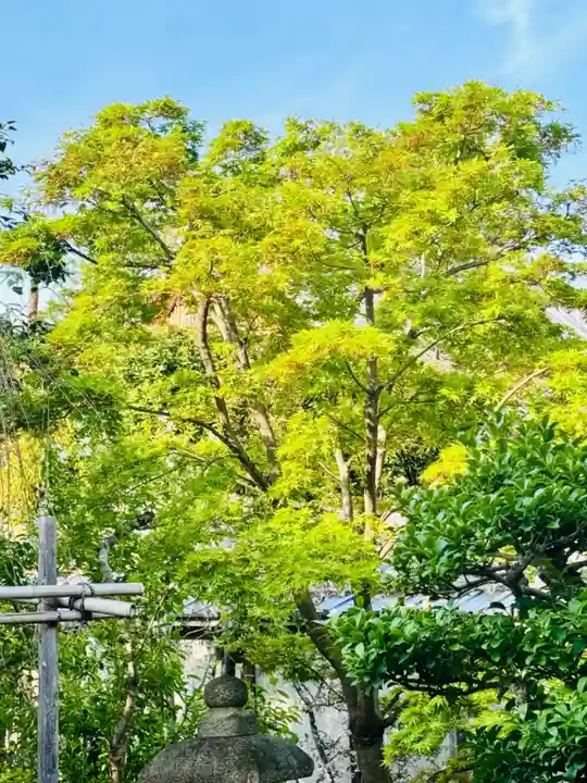 西住院(京都府)