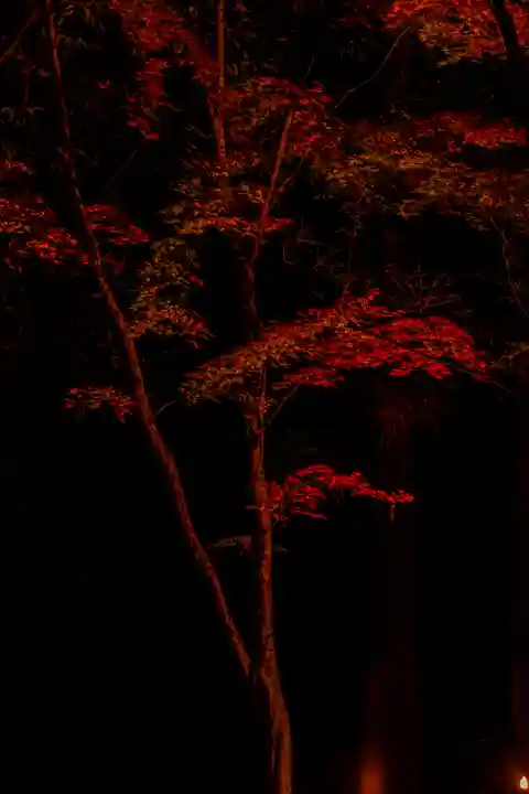 北野天満宮(京都府)