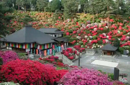 塩船観音寺の景色