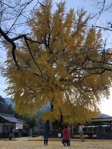 丹生酒殿神社の自然