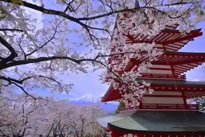 新倉富士浅間神社(山梨県)