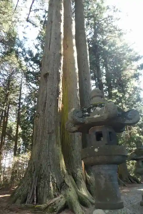 北口本宮冨士浅間神社(山梨県)