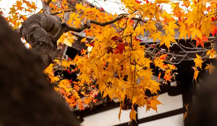 三輪神社(愛知県)