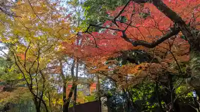 北野天満宮(京都府)