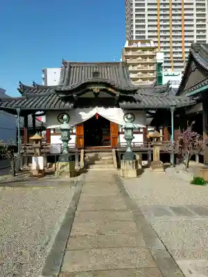 本興寺の{uncategorized: "未分類", other: "その他", undefined: "問題あり", building: "その他建物", grave: "お墓", sacred_gate: "鳥居", guardian: "狛犬", statue: "像", buddha: "仏像", history: "歴史", nature: "自然", garden: "庭園", animal: "動物", pagoda: "塔", temizu: "手水舎", mountain_gate: "山門・神門", sanctuary: "本殿・本堂", subordinate: "末社・摂社", art: "芸術", scenery: "景色", jizo: "地蔵", ema: "絵馬", goshuin: "御朱印", omikuji: "おみくじ", items: "授与品その他", amulet: "お守り", goshuincho: "御朱印帳", eats: "食事", festival: "お祭り", votive_dance: "神楽", shichigosan: "七五三参", wedding: "結婚式", experience: "体験その他", initially: "初詣", around: "周辺", anti_infection: "感染症対策"}