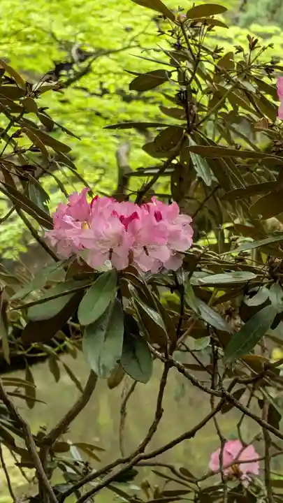 千如寺大悲王院(福岡県)