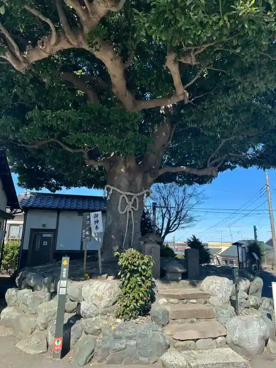 春ノ木神明社の{uncategorized: "未分類", other: "その他", undefined: "問題あり", building: "その他建物", grave: "お墓", sacred_gate: "鳥居", guardian: "狛犬", statue: "像", buddha: "仏像", history: "歴史", nature: "自然", garden: "庭園", animal: "動物", pagoda: "塔", temizu: "手水舎", mountain_gate: "山門・神門", sanctuary: "本殿・本堂", subordinate: "末社・摂社", art: "芸術", scenery: "景色", jizo: "地蔵", ema: "絵馬", goshuin: "御朱印", omikuji: "おみくじ", items: "授与品その他", amulet: "お守り", goshuincho: "御朱印帳", eats: "食事", festival: "お祭り", votive_dance: "神楽", shichigosan: "七五三参", wedding: "結婚式", experience: "体験その他", initially: "初詣", around: "周辺", anti_infection: "感染症対策"}