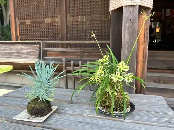 小名浜諏訪神社 ~海の鎮守様~の自然