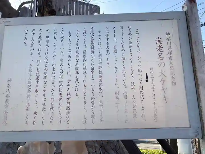 国分寺(相模國分寺)(神奈川県)