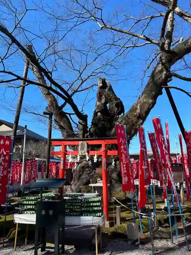 秩父今宮神社(埼玉県)