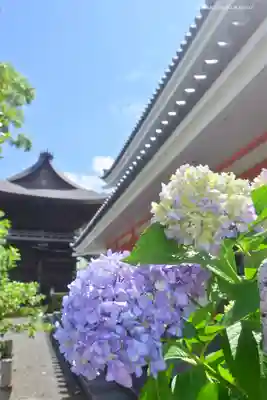 高幡不動尊　金剛寺のその他建物