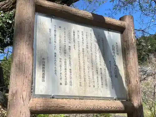 仏隆寺の{uncategorized: "未分類", other: "その他", undefined: "問題あり", building: "その他建物", grave: "お墓", sacred_gate: "鳥居", guardian: "狛犬", statue: "像", buddha: "仏像", history: "歴史", nature: "自然", garden: "庭園", animal: "動物", pagoda: "塔", temizu: "手水舎", mountain_gate: "山門・神門", sanctuary: "本殿・本堂", subordinate: "末社・摂社", art: "芸術", scenery: "景色", jizo: "地蔵", ema: "絵馬", goshuin: "御朱印", omikuji: "おみくじ", items: "授与品その他", amulet: "お守り", goshuincho: "御朱印帳", eats: "食事", festival: "お祭り", votive_dance: "神楽", shichigosan: "七五三参", wedding: "結婚式", experience: "体験その他", initially: "初詣", around: "周辺", anti_infection: "感染症対策"}