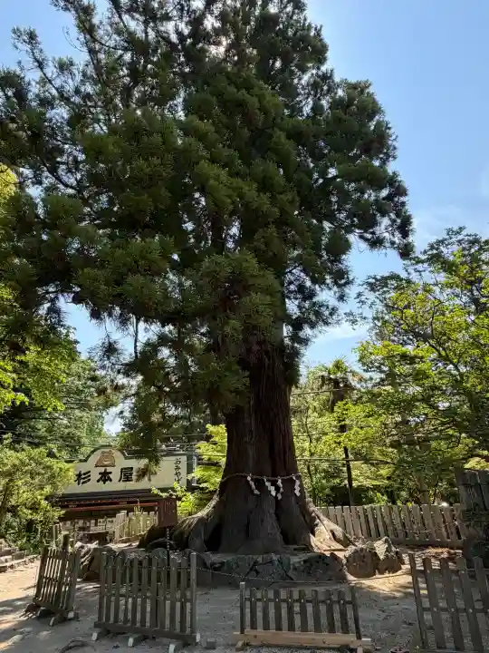 筑波山神社の{uncategorized: "未分類", other: "その他", undefined: "問題あり", building: "その他建物", grave: "お墓", sacred_gate: "鳥居", guardian: "狛犬", statue: "像", buddha: "仏像", history: "歴史", nature: "自然", garden: "庭園", animal: "動物", pagoda: "塔", temizu: "手水舎", mountain_gate: "山門・神門", sanctuary: "本殿・本堂", subordinate: "末社・摂社", art: "芸術", scenery: "景色", jizo: "地蔵", ema: "絵馬", goshuin: "御朱印", omikuji: "おみくじ", items: "授与品その他", amulet: "お守り", goshuincho: "御朱印帳", eats: "食事", festival: "お祭り", votive_dance: "神楽", shichigosan: "七五三参", wedding: "結婚式", experience: "体験その他", initially: "初詣", around: "周辺", anti_infection: "感染症対策"}