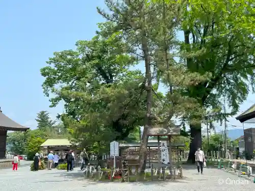 阿蘇神社(熊本県)