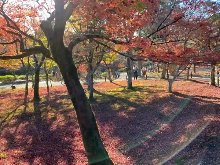 東福禅寺(東福寺)の自然