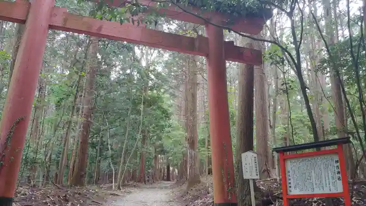 御蔭神社の鳥居