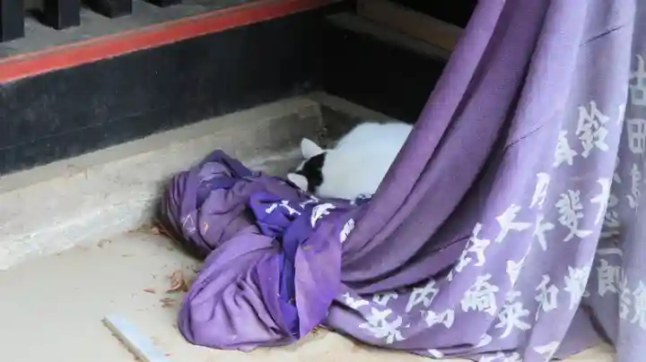 妻沼聖天山歓喜院の動物