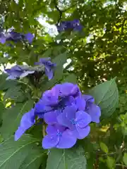 山神社の自然