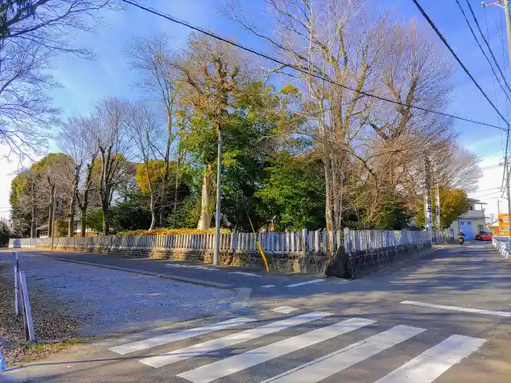 稲木神社(寄木町)の自然
