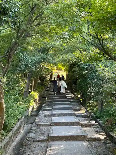高台寺（高台寿聖禅寺・高臺寺）(京都府)