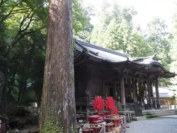 最乗寺(道了尊)の本殿・本堂