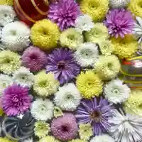 帯廣神社の手水舎