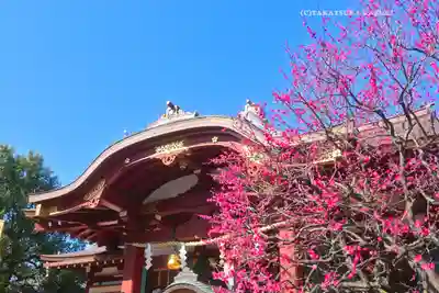 亀戸天神社(東京都)