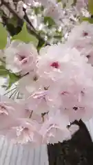 赤城神社の自然