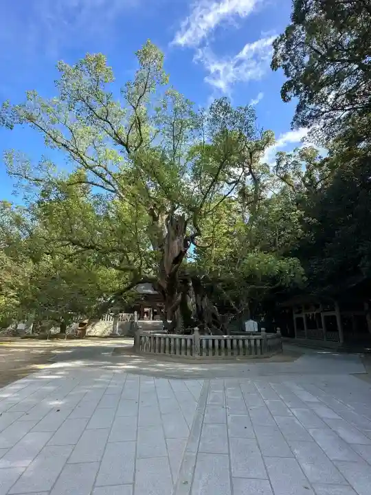 大山祇神社(愛媛県)