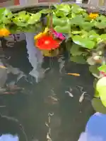 田間神社(千葉県)
