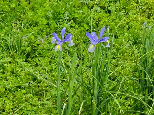 無量寺(和歌山県)