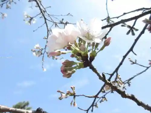 女化神社の自然