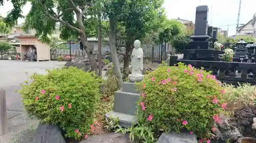 松蔭寺(静岡県)