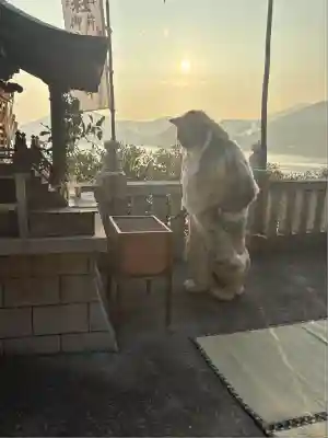 津嶋神社(香川県)