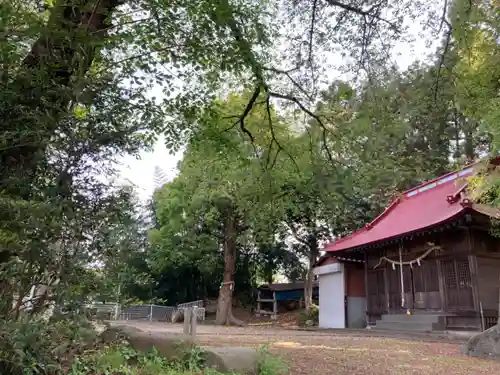 粟津神社の建物その他