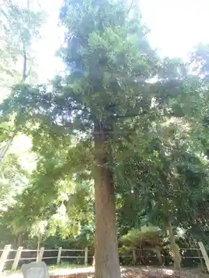 無量光寺(神奈川県)