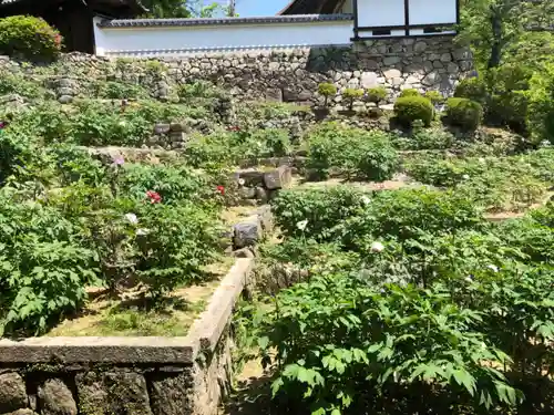 長谷寺(奈良県)