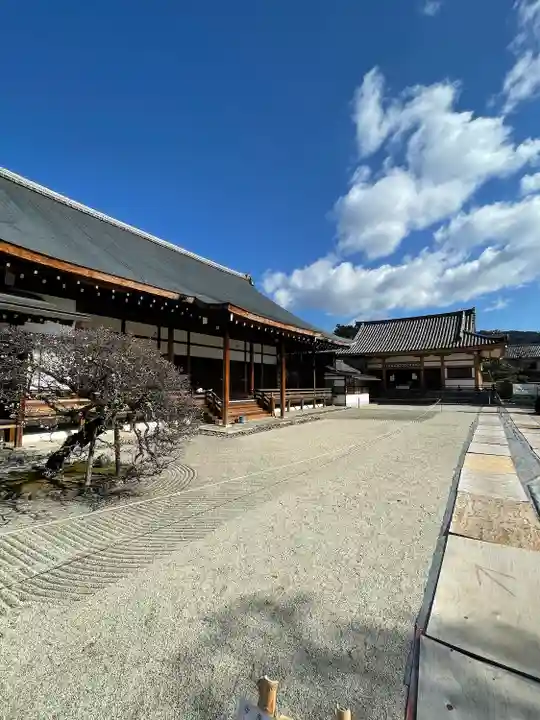 聖護院門跡の本殿・本堂