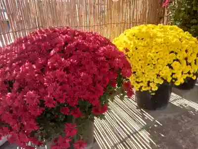 呑龍上人秩父教会(埼玉県)